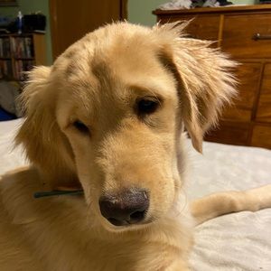 Meet your Posher, Candy